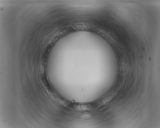 X0000060760751200512082008