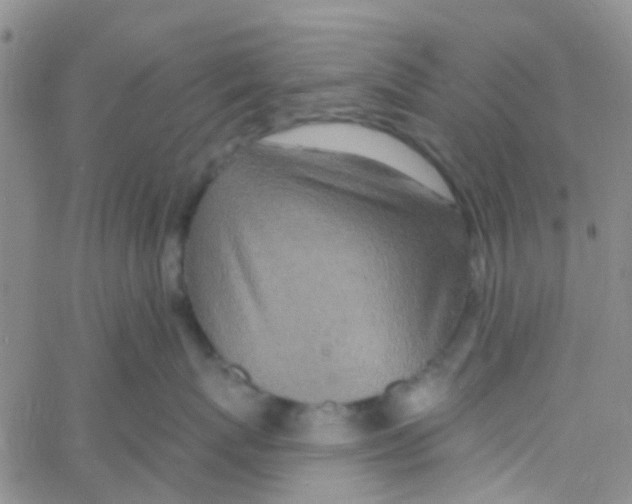 X0000060760767200512082008