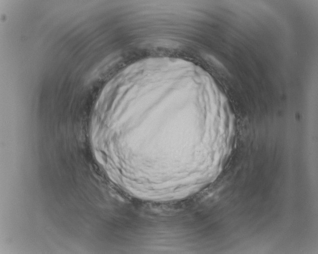 X0000060760774200512082007