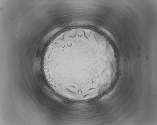 X0000060760778200512082007