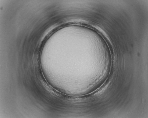 X0000060760783200512082007