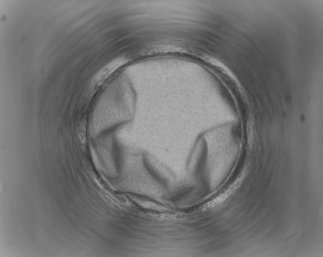 X0000060760785200512082007
