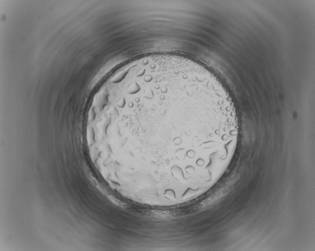 X0000060760794200512082007
