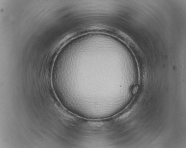 X0000060760825200512082006