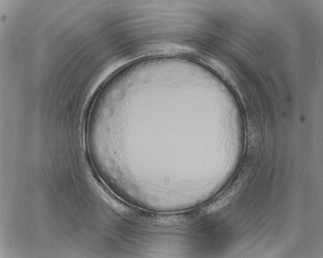 X0000060760843200512082006