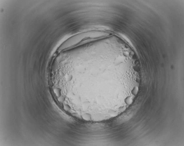 X0000060760851200512082006