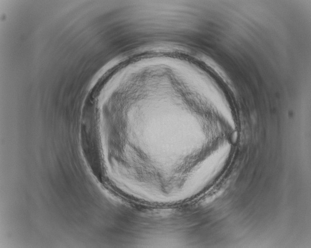 X0000060760853200512082006