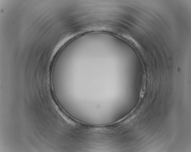 X0000060760894200512082005
