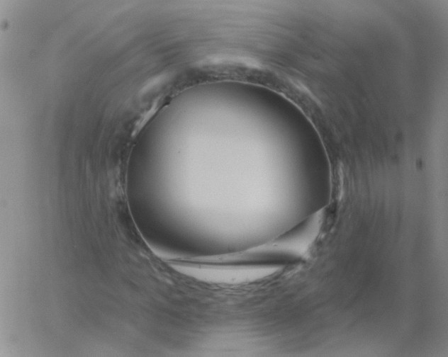 X0000060760965200512082004