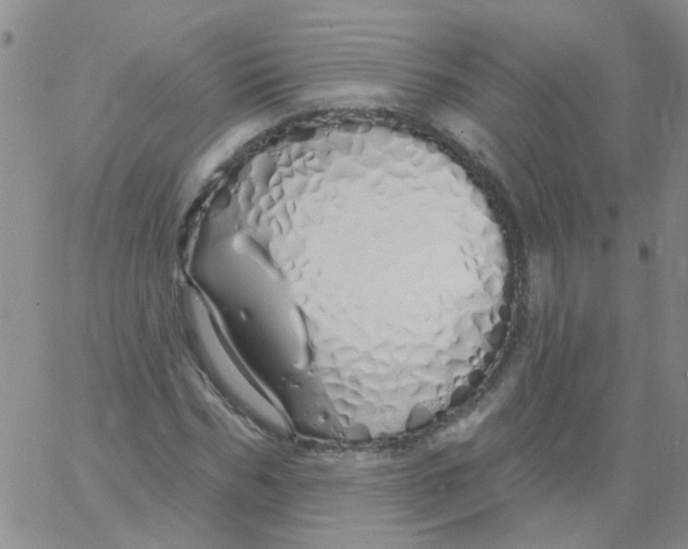 X0000060760970200512082004