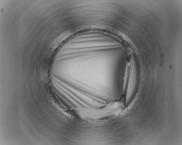 X0000060760977200512082004