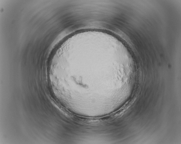 X0000060760982200512082004