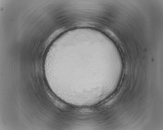 X0000060760986200512082004