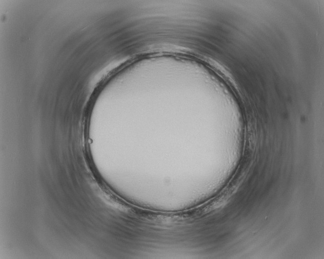X0000060760987200512082004
