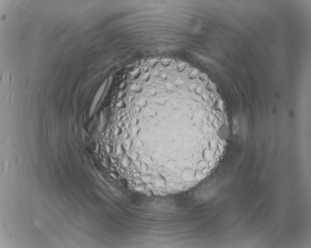 X0000060761011200512082003