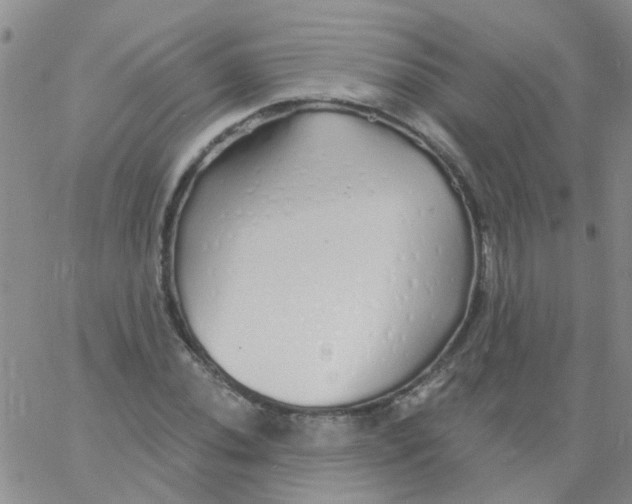X0000060761020200512082003