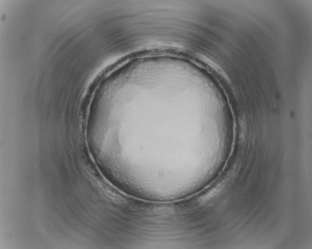 X0000060761021200512082003