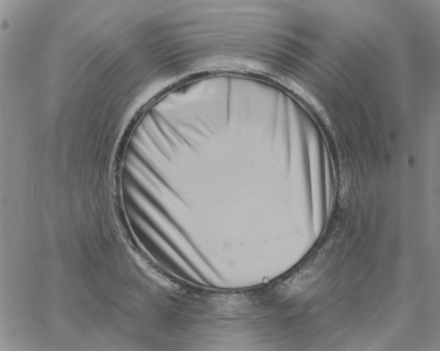X0000060761037200512082003