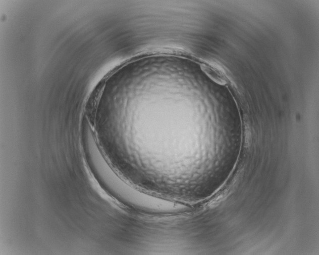 X0000060761038200512082003