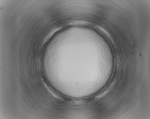 X0000060761041200512082003