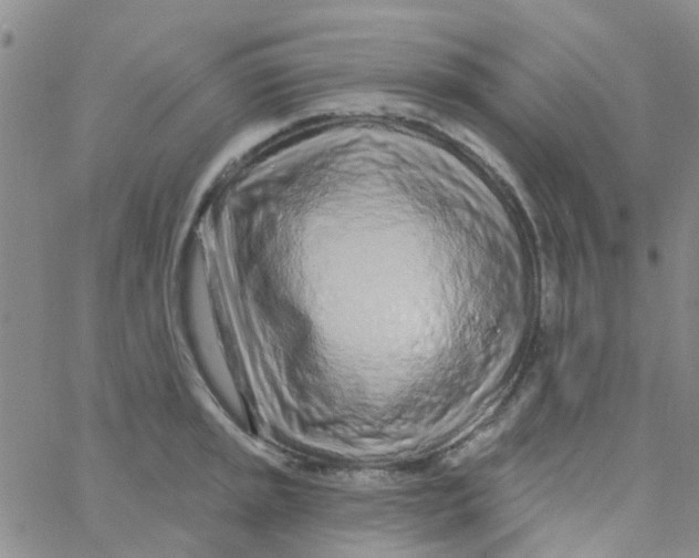 X0000060761045200512082003