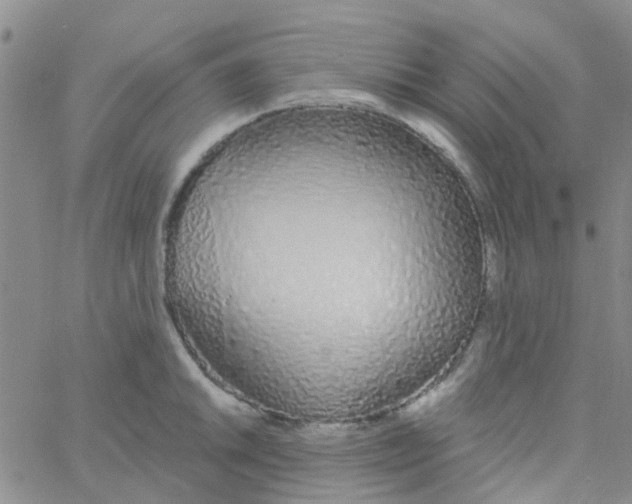 X0000060761046200512082003