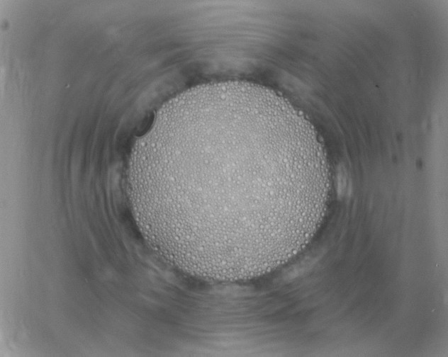 X0000060761059200512082002
