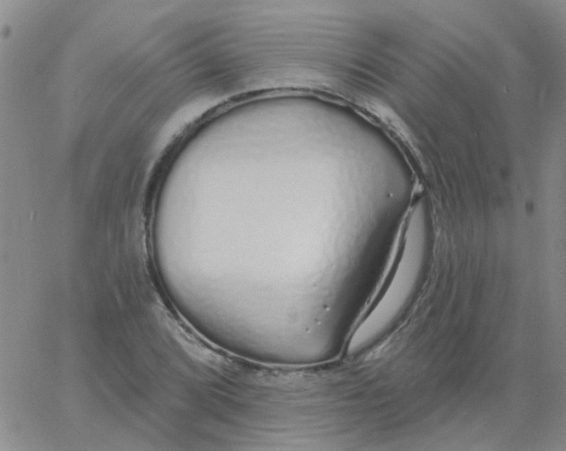 X0000060761072200512082002