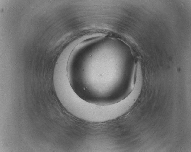 X0000060761110200512082001