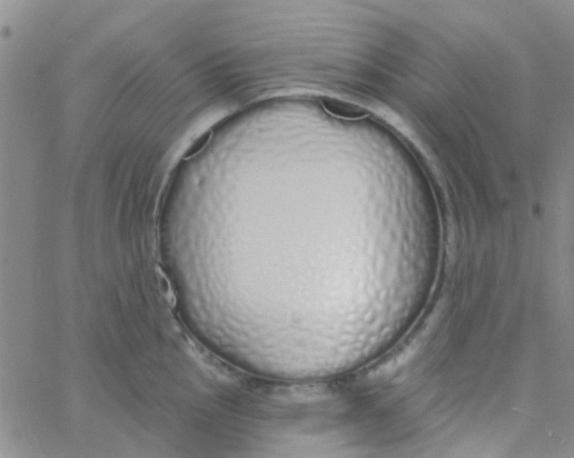 X0000060761145200512082002