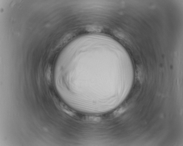 X0000060761154200512082001