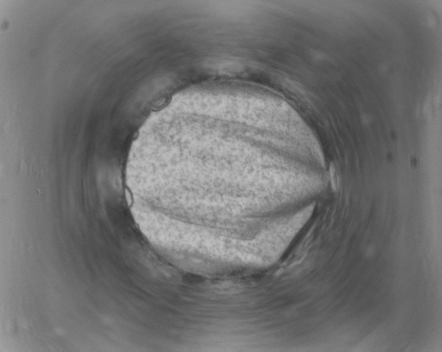 X0000060761155200512082001