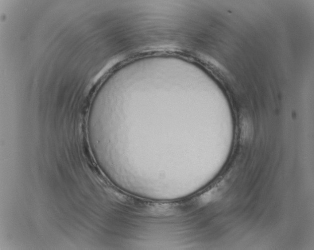 X0000060761162200512082001