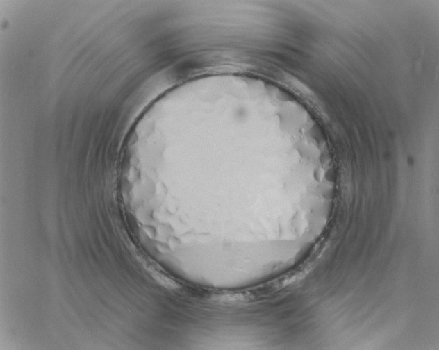 X0000060761186200512082000