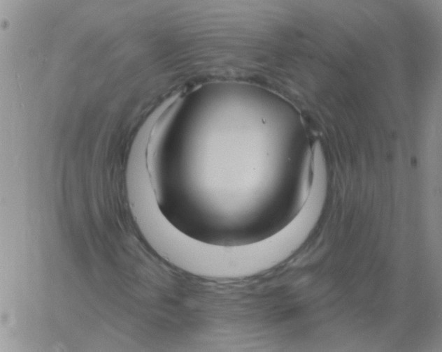 X0000060761202200512081959