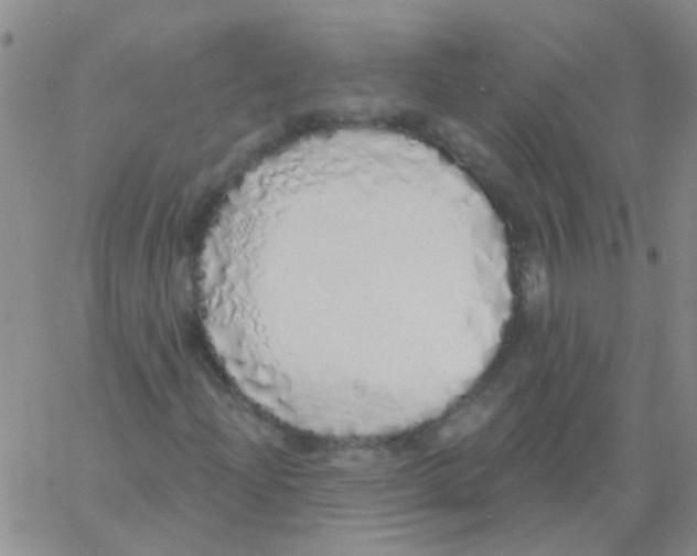 X0000060761204200512081959