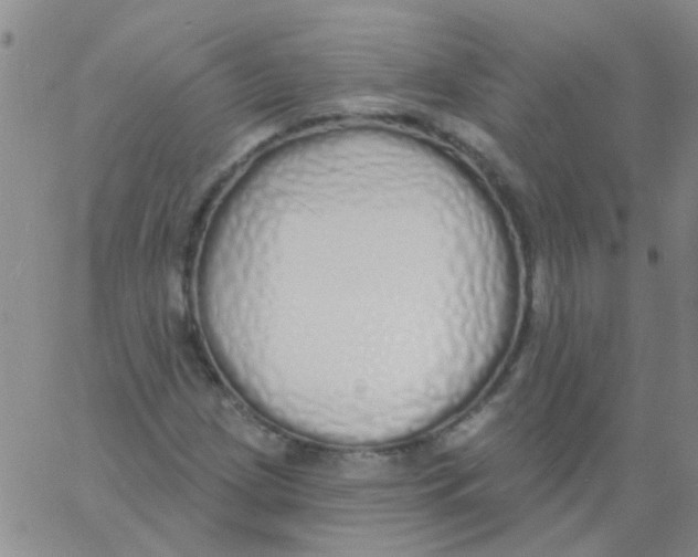 X0000060761209200512081959