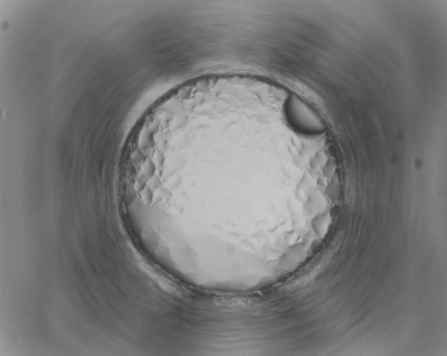 X0000060761231200512082000