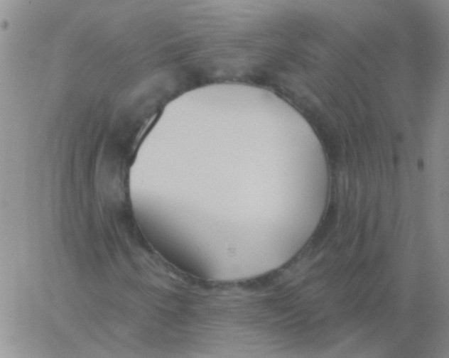 X0000060761250200512081959