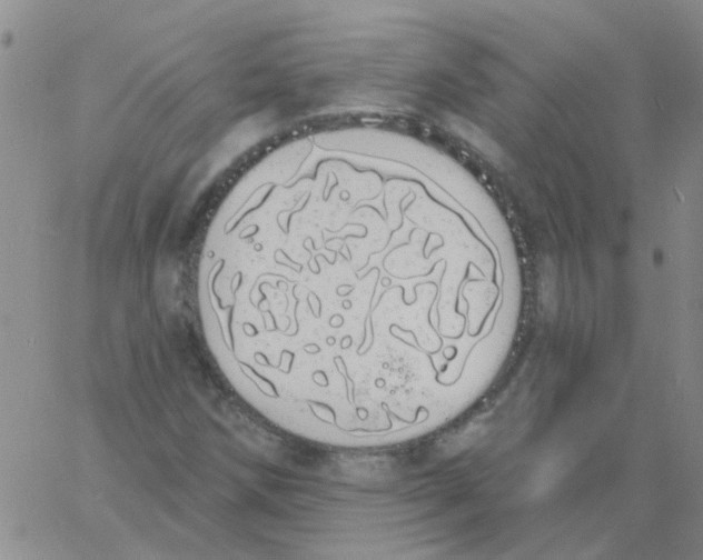 X0000060761258200512081959