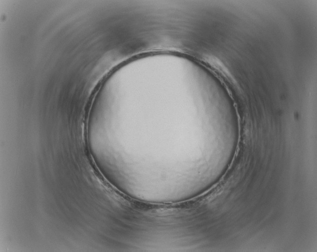 X0000060761268200512081959