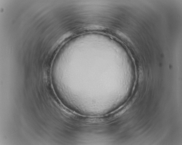 X0000060761305200512081958