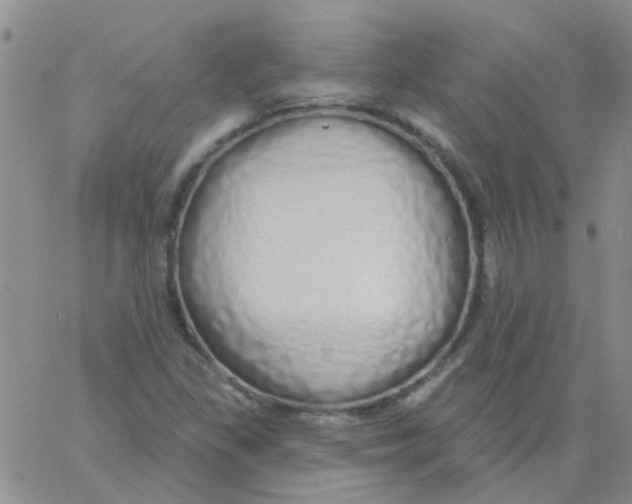 X0000060761309200512081958