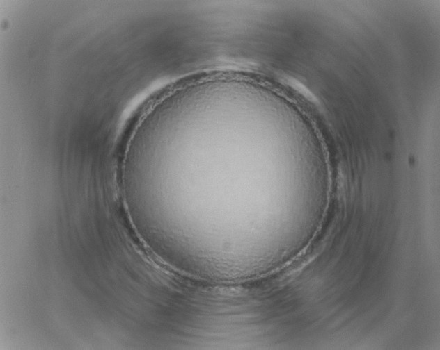 X0000060761310200512081958
