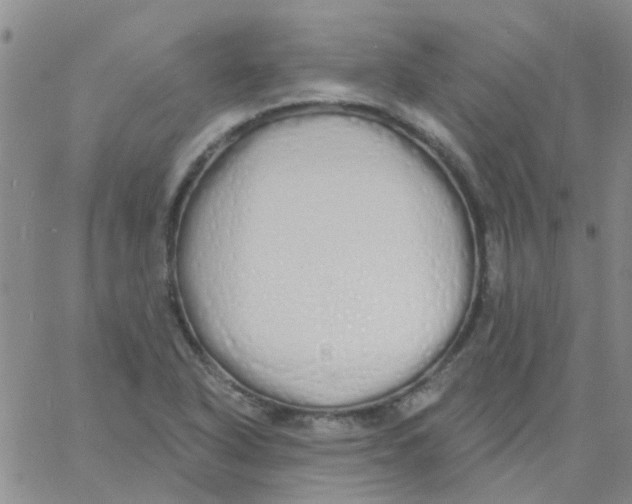 X0000060761318200512081958