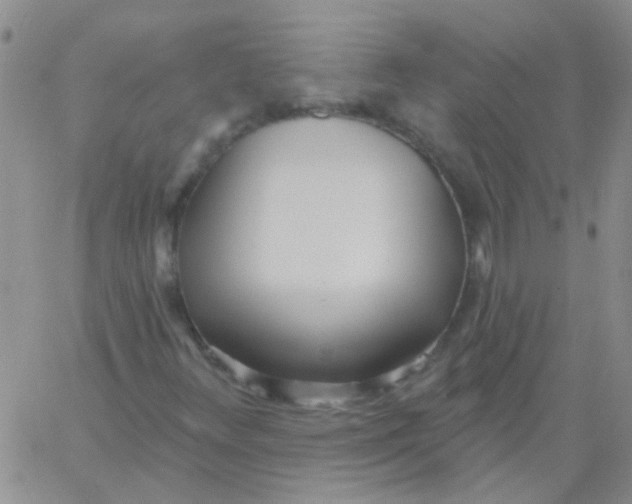 X0000060761348200512081958