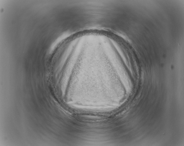 X0000060761359200512081958