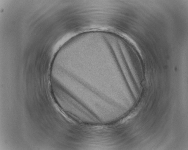 X0000060761373200512081957