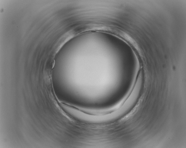 X0000060761377200512081957