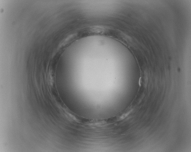 X0000060761394200512081956